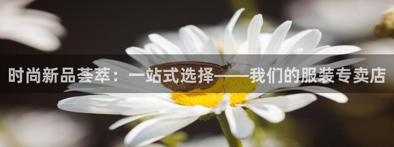 乐发平台手机版下载