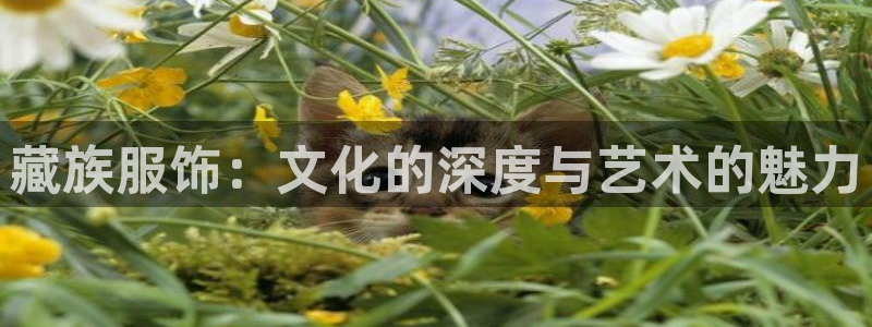 乐发彩票最新平台下载