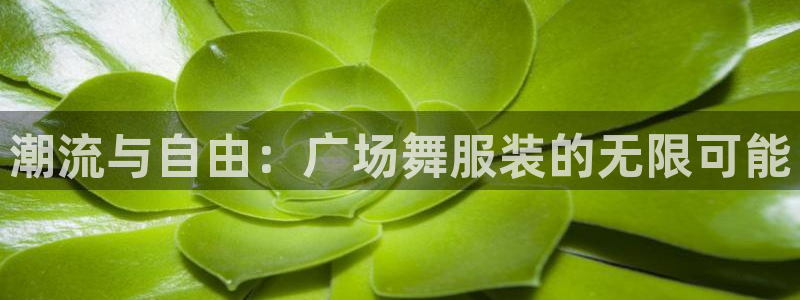 乐发III平台最新版本更新内容