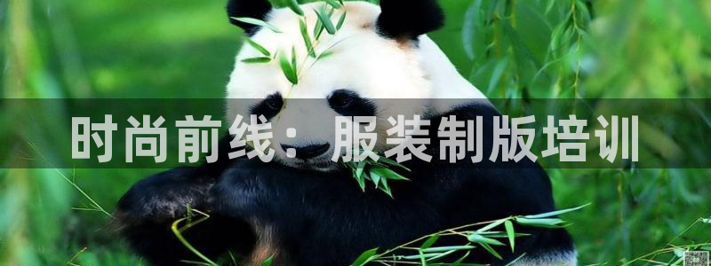 乐发vlll最新平台