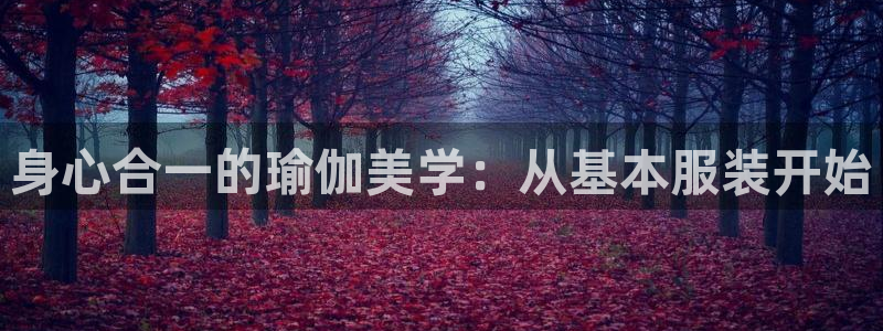 乐发平台金辉娱乐怎么样