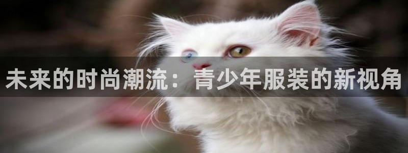 乐发彩票网平台带人玩的