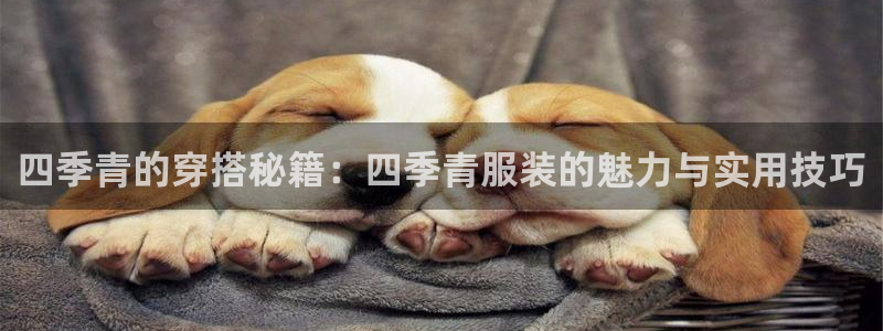 乐发3彩票平台