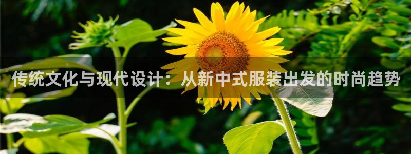乐享发圈是个什么平台