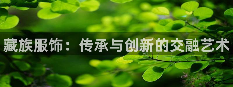 乐发 lll平台