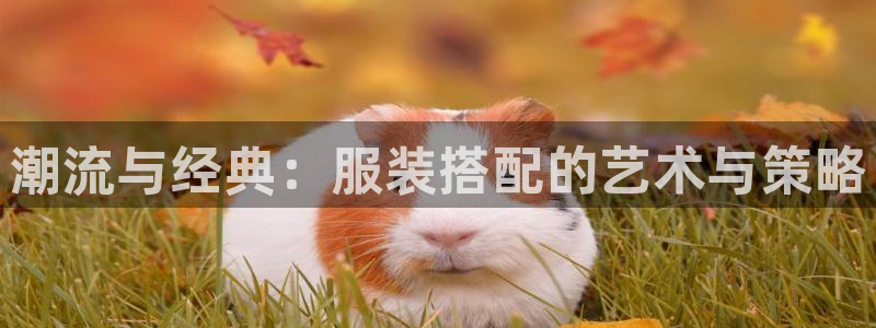 乐发平台杀猪盘