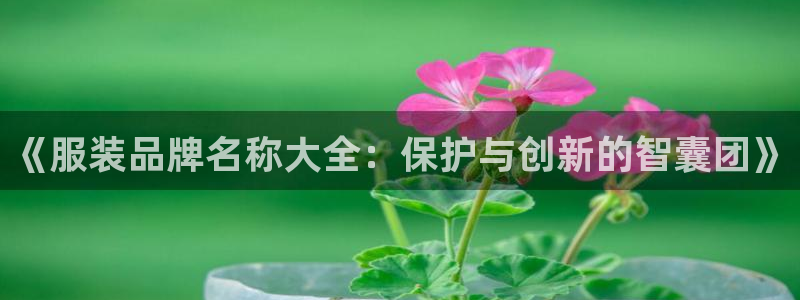 必乐2平台发
