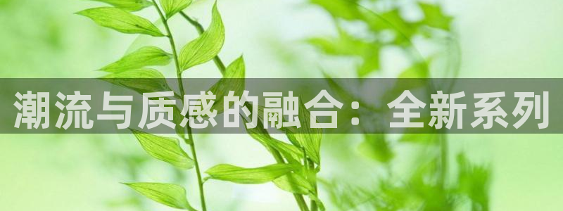 乐豪发官方娱乐平台