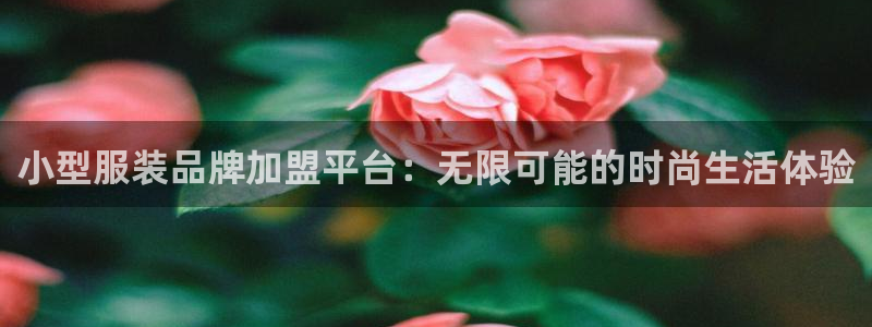 乐发彩票app平台