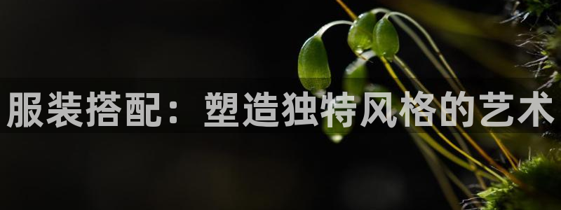乐彩轩平台指尖发