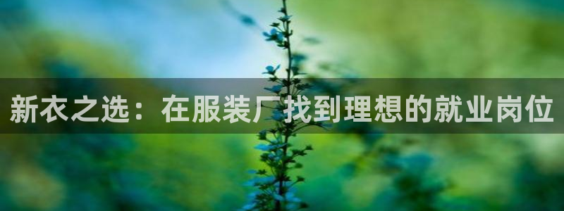 乐发快3大小单双平台