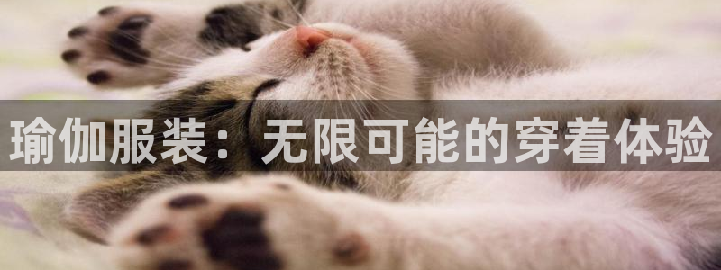 乐赚发圈平台app