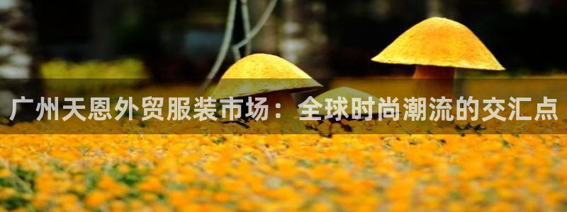 乐发彩票平台正规吗