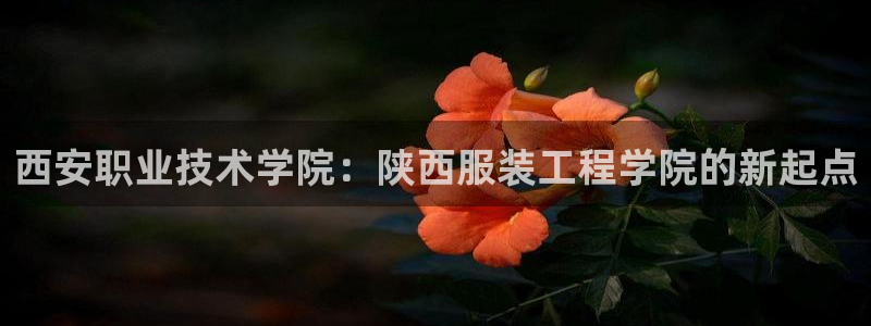 乐发平台怎么注销账户啊