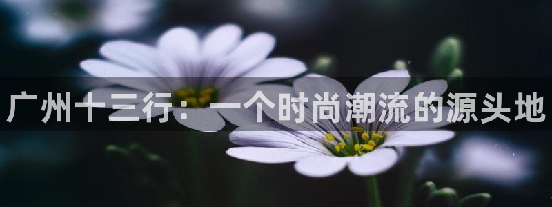 乐发111彩票平台下载