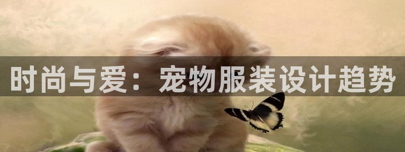 乐发平台是干什么的