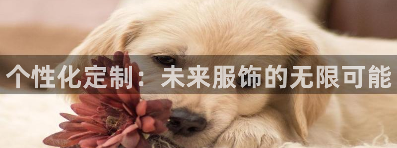澳门乐发开户游戏平台：个性化定制：未来服