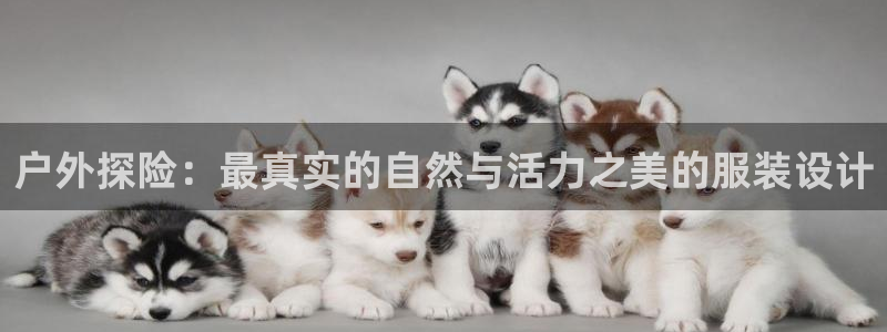 乐发平台xl