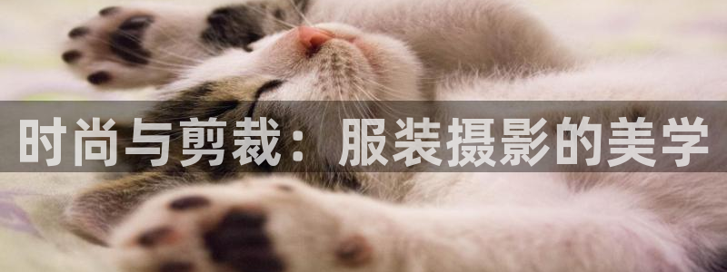 乐发国际娱乐平台