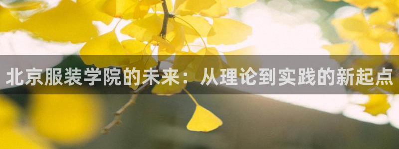 乐发平台下载安装官网