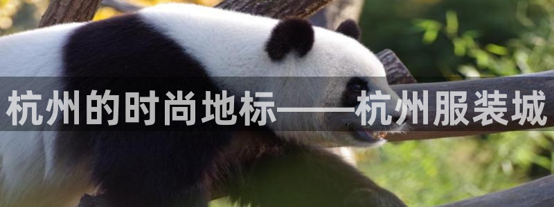 乐发彩票平台下载安装