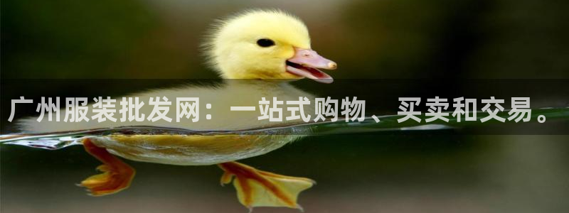 乐发体育平台怎么样知乎