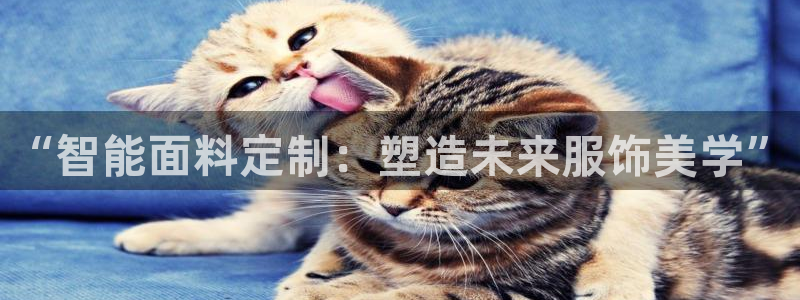 乐发发平台注册