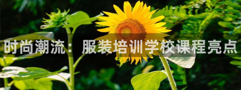 乐发平台注册下载安装