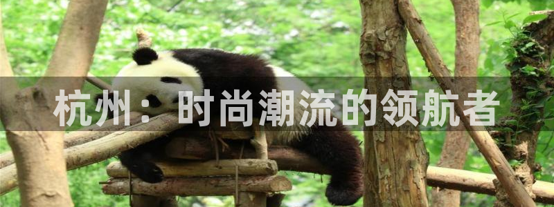 乐发平台邀请码全网最高