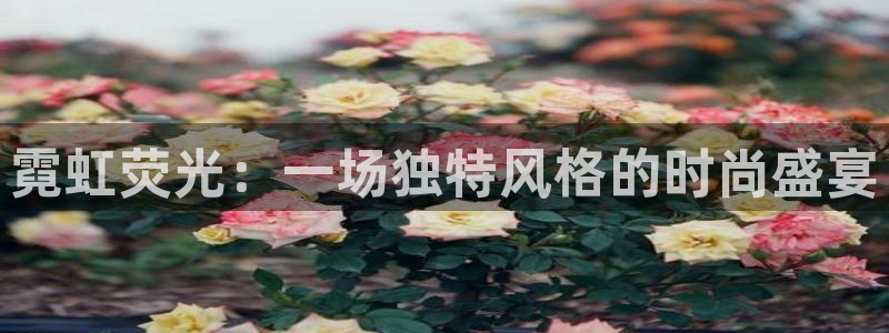 乐发快3大小单双平台