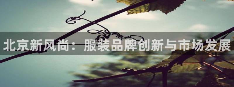 乐发彩票平台入口下载