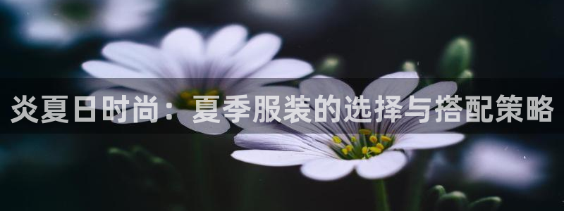 乐发平台多久了