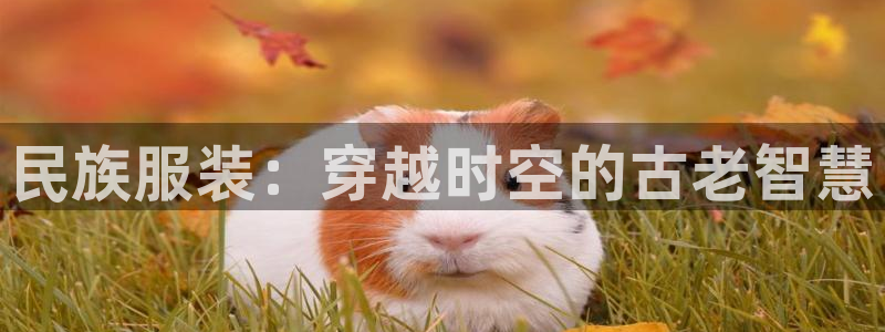 发乐发彩票平台注册