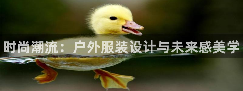 乐发体育平台官网下载