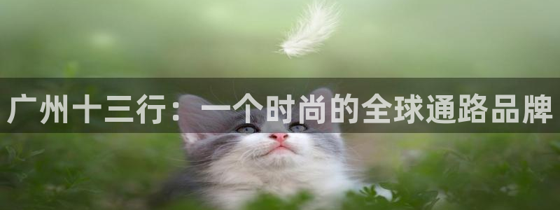 乐发邀请码平台有哪些