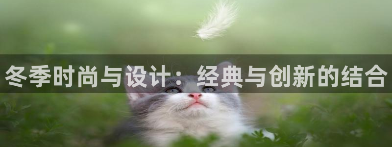 乐发平台注册资金多少钱