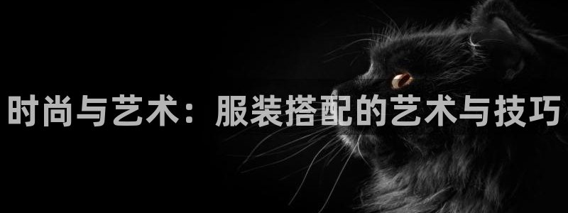 乐发彩票app平台