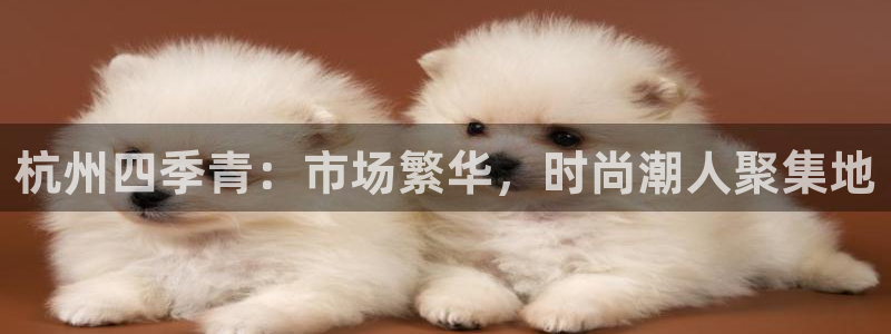 乐发彩票直播平台下载