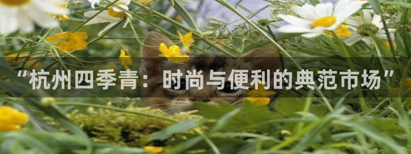 乐发lx这个平台怎么样