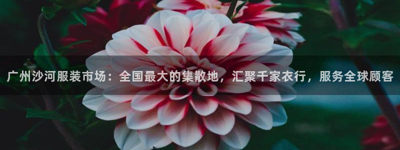 澳门乐发开户游戏平台